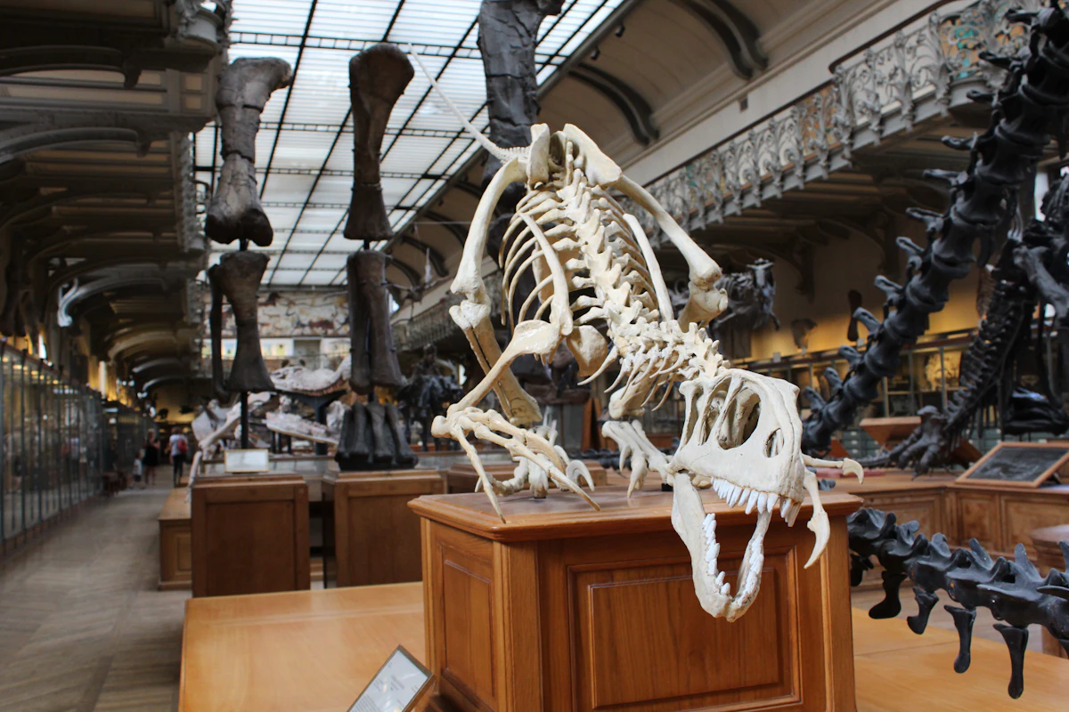 Grande Galerie de l'Évolution